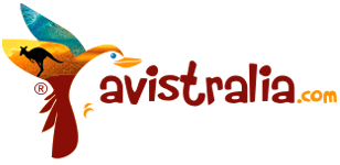 avistralia.com Logo
